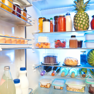 Refrigerator and Freezer Organization